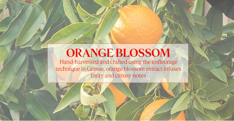 L'Occitane Neroli & Orchidee Eau De Toilette page two.