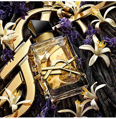 3614272648425_4b.jpg?tr=w-400,