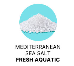 Spanish-Olive-Body-Milk