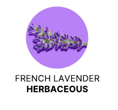 Spanish-Olive-Body-Milk