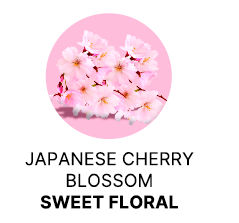 Spanish-Olive-Body-Milk