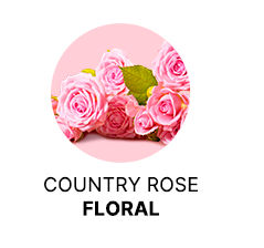 Spanish-Olive-Body-Milk