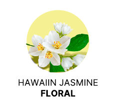 Spanish-Olive-Body-Milk