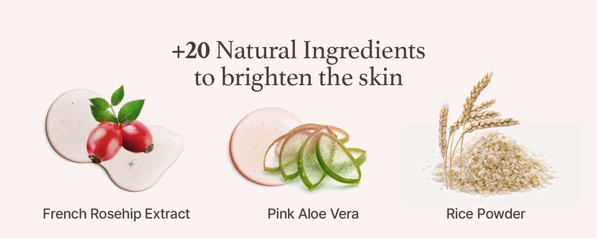 Arencia Fresh Rosehip Rice Mochi Cleanser (Pack Size120g)