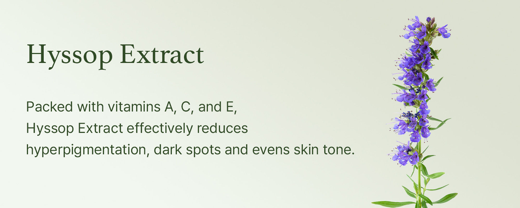 Arencia Holy Hyssop Serum 30 (Pack Size50g)