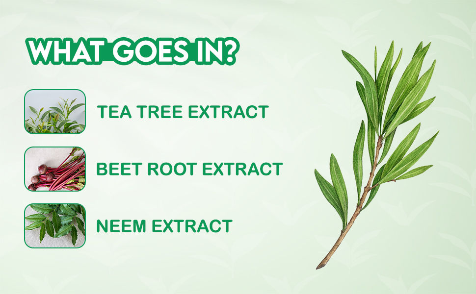 Jovees Herbal Tea Tree Face Wash For Oily & Acne Free Glowing Skin | tea Tree Face Wash | face wash for oily skin | face wash for skin whitening | facewash for brightening skin | tan removal face wash | face wash for dry skin | salicylic face wash | vitamin c face wash | face wash for clear skin | face wash for oily and acne prone skin | cleanser for oily skin