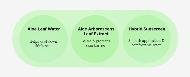 Aloe_soothing