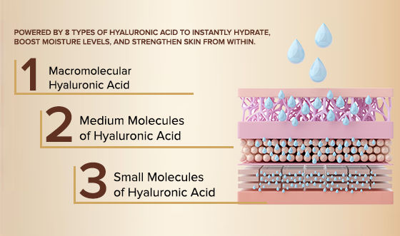 https://adn-static1.nykaa.com/media/wysiwyg/DAIAA00000853s_2