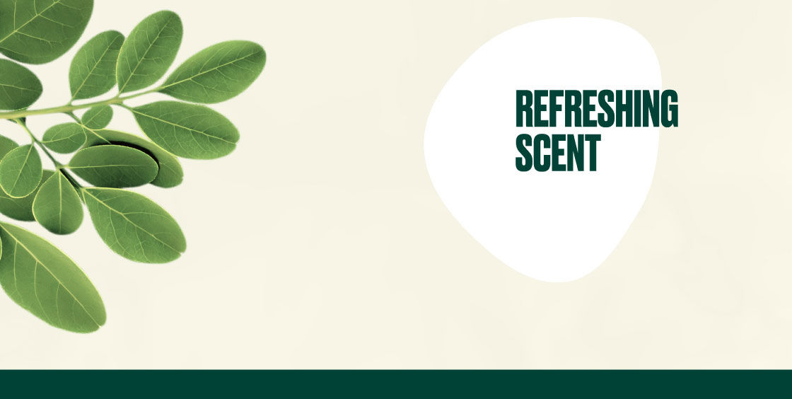 Refreshing Scent