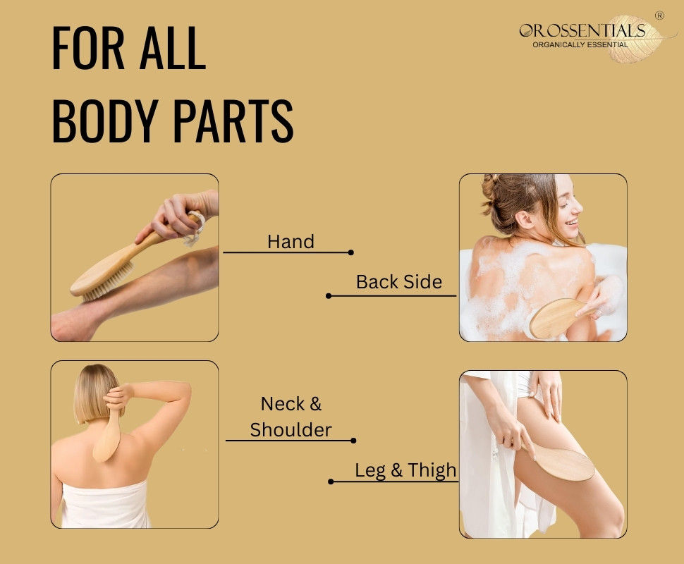 Dry Body Brush With Handle