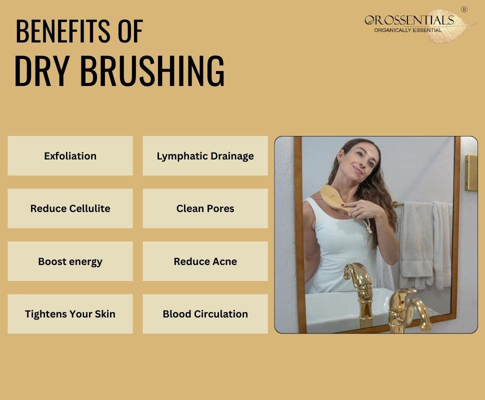 Dry Body Brush With Handle