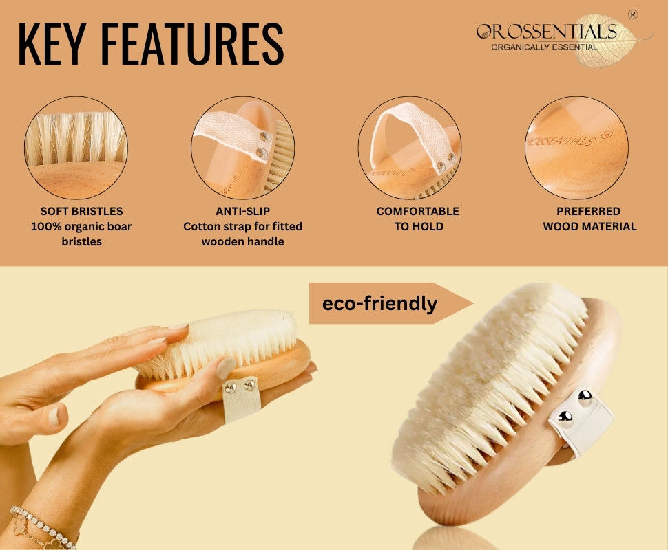Dry Body Brush Without Handle