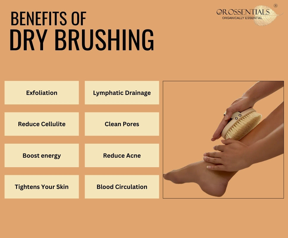 Dry Body Brush Without Handle