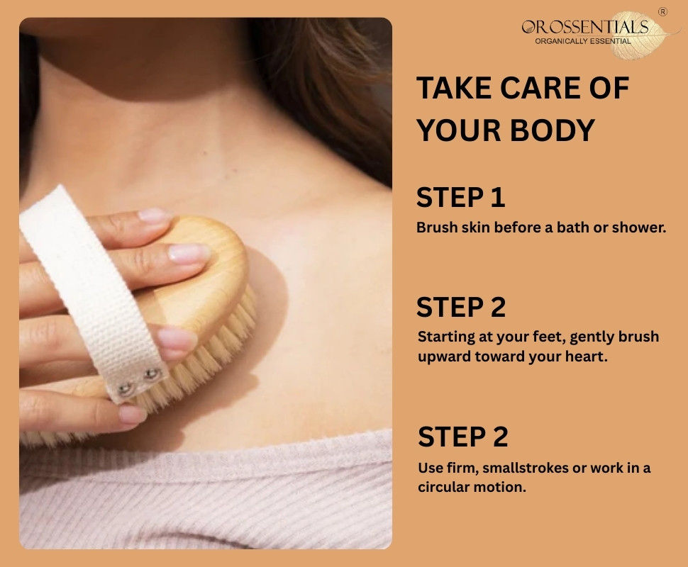 Dry Body Brush Without Handle