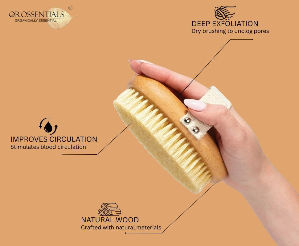Dry Body Brush Without Handle