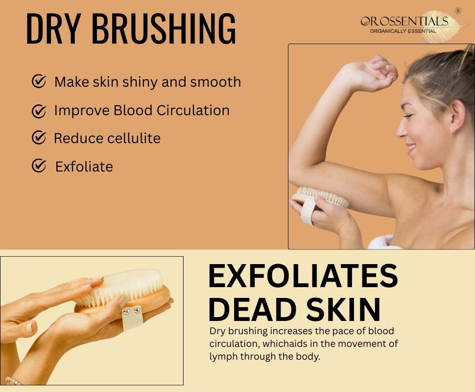 Dry Body Brush Without Handle