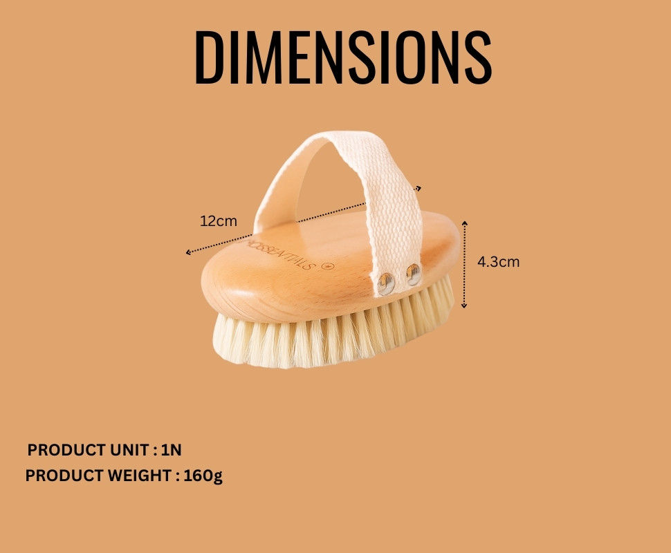 Dry Body Brush Without Handle