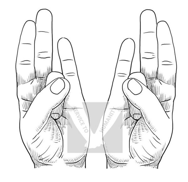 Hasta Mudras