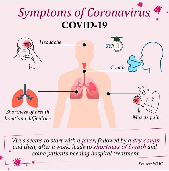 Stay Healthy Be Safe