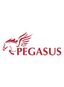 Pegasus