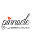 Pinnacle By Shruti Sancheti