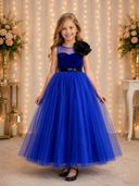 Blue color option, Sold out
