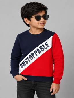 PLUM TREE - Boys Premium Soft Cotton Full Sleeve Round Neck Sweatshirt - Multi-Color