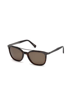 Ermenegildo Zegna - Brown Acetate Sunglasses EZ0073 54 52M (54)
