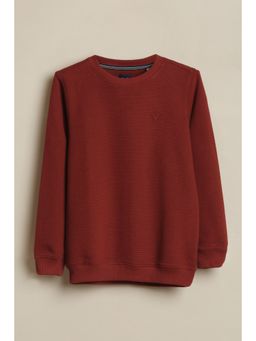 Allen Solly - Boys Maroon Textured Sweatshirt