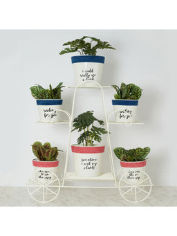 HomeTown - Pep Pop Metal Planter Stand 75Cm in Off White Colour