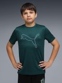 Green color option, Currently selected