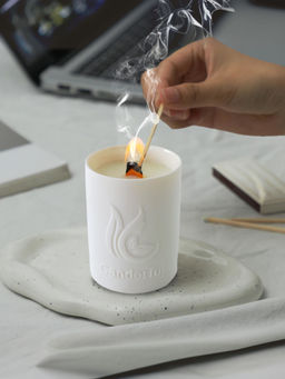 Absorbia - French Juniper Candle