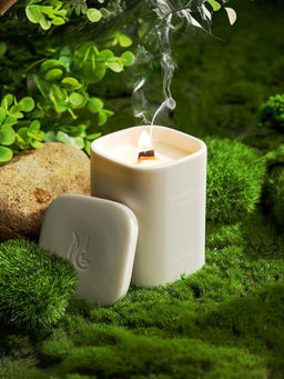 Absorbia - Off White Oolong Candle