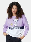 Lavender color option, Currently selected