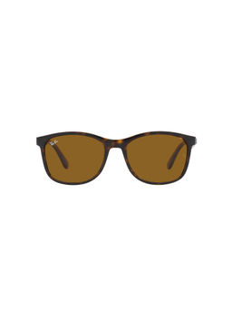 Ray-Ban - Havana Sunglasses