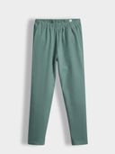 Green color option, Currently selected