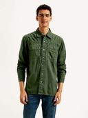 Green color option, Currently selected