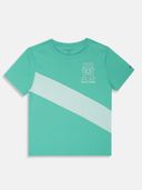 Green color option, Currently selected