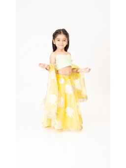 Tiny Pants - Yellow Organza Lehnga With Green Top (Set of 3)