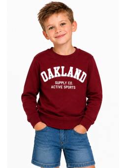 ZION - Boys Athletic Sweatshirt with High Density Print Highlights-Red
