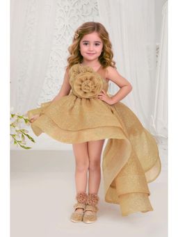 Lagorii - Gold Net Sleeveless Dress