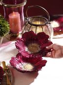 Burgundy color option, Sold out