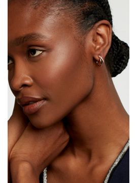 womens ted baker earrings