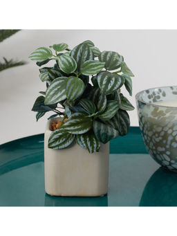 HomeTown - Ilana Faux Peperomia Ceramic Potted Plant 20 Cm in Green Colour