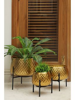 Feather Your Nest Home Decor Golden Finishing Planters with Black Matt Stand for Home & Office