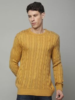 Cantabil - Men Mustard Wool Self Design Sweater