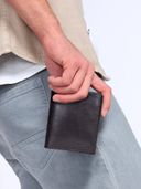 Brown color option, Currently selected