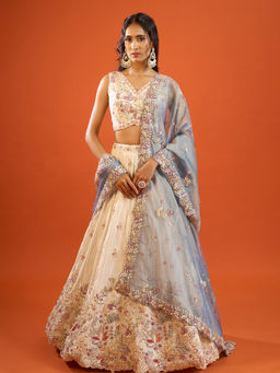 Samyukta Singhania - Tissue Beige Lehenga with Blouse and Dupatta