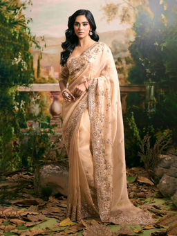 Samyukta Singhania - Organza Beige Saree with Stitched Blouse