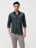 Green color option, Currently selected